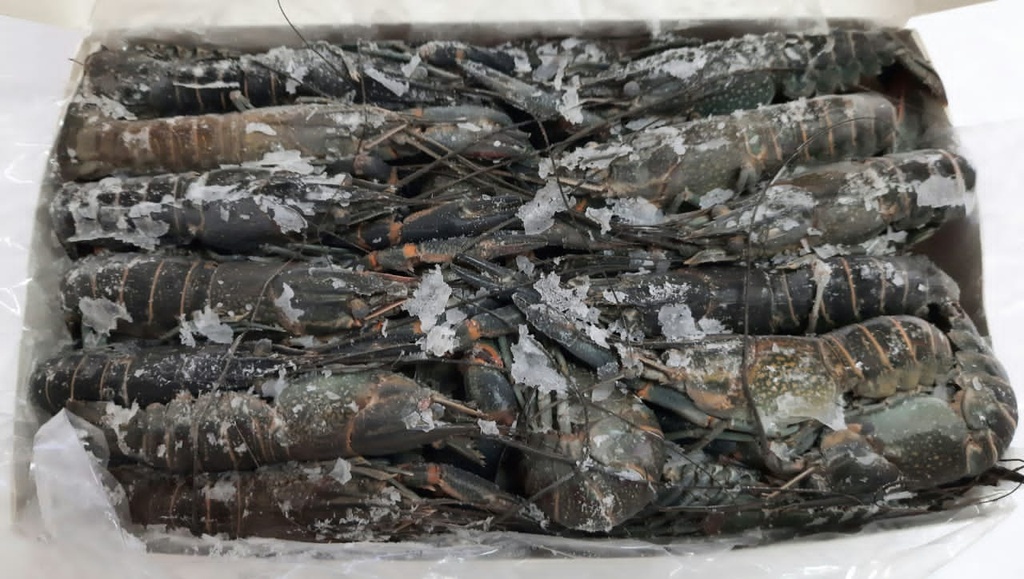 Langosta de agua dulce congelada( Envase 2 kg)